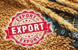 Румыния активизировала экспорт пшеницы, рынки сбыта меняются - agroexpert.md
