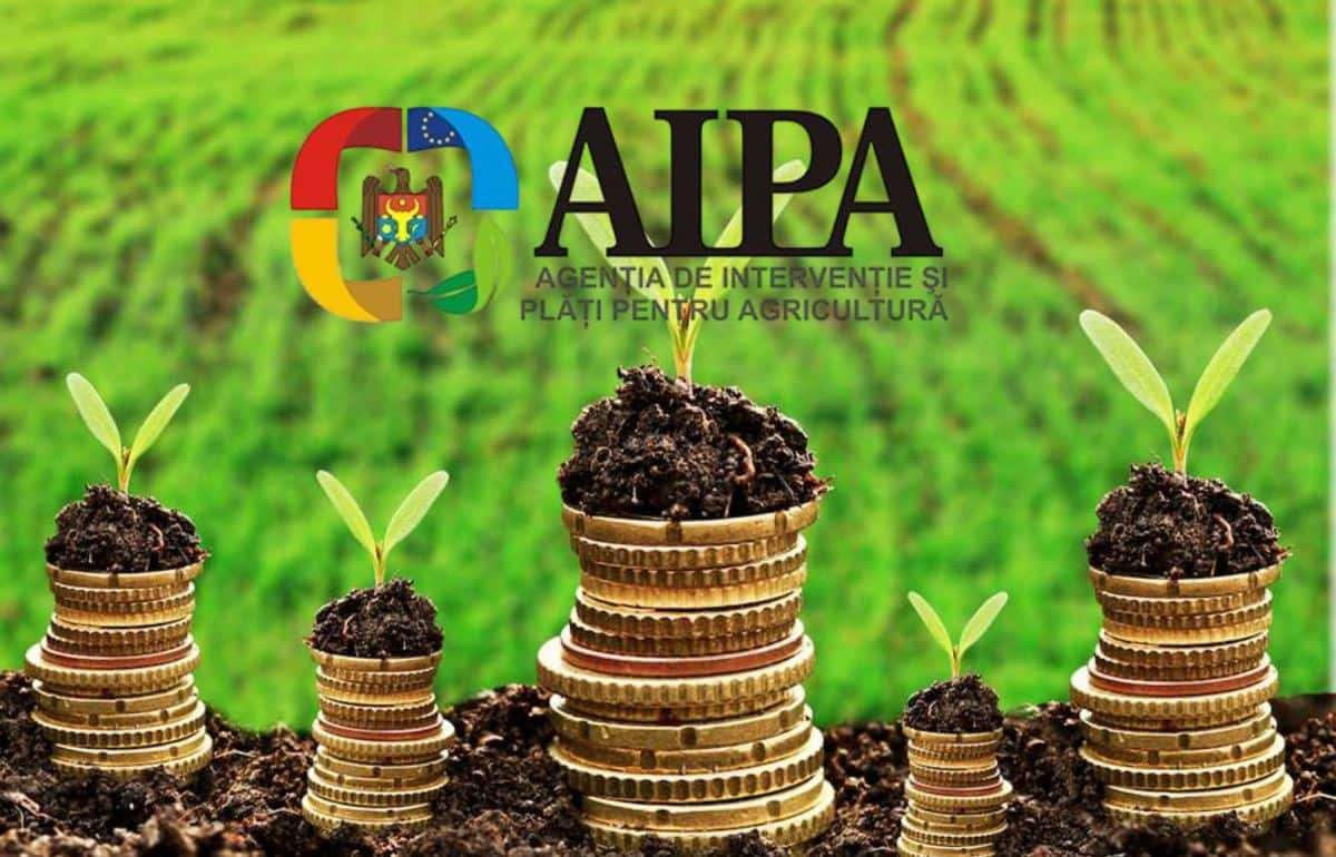 Фермеры подали 4400 заявок на субсидии в 2025 году: рост на 50 млн леев - agroexpert.md