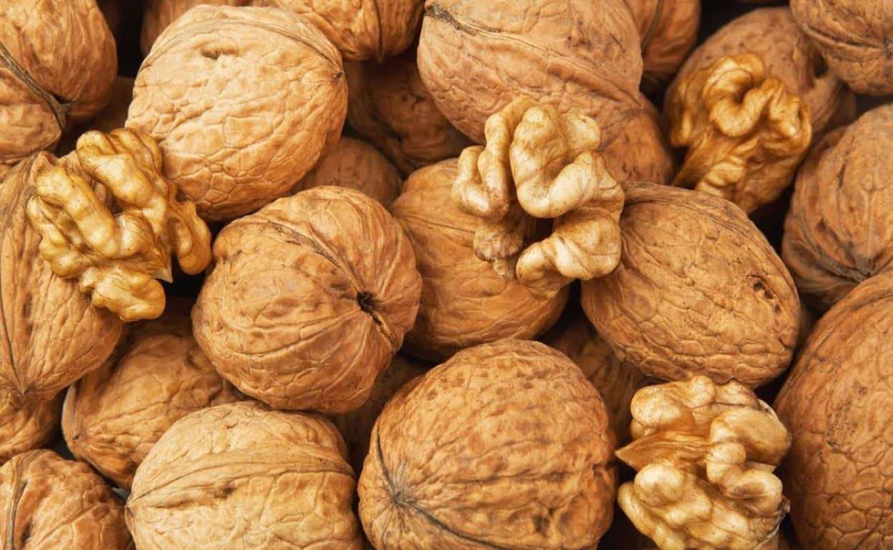 Молдавские ореховоды ориентированы на экспорт, несмотря на трудности - agroexpert.md