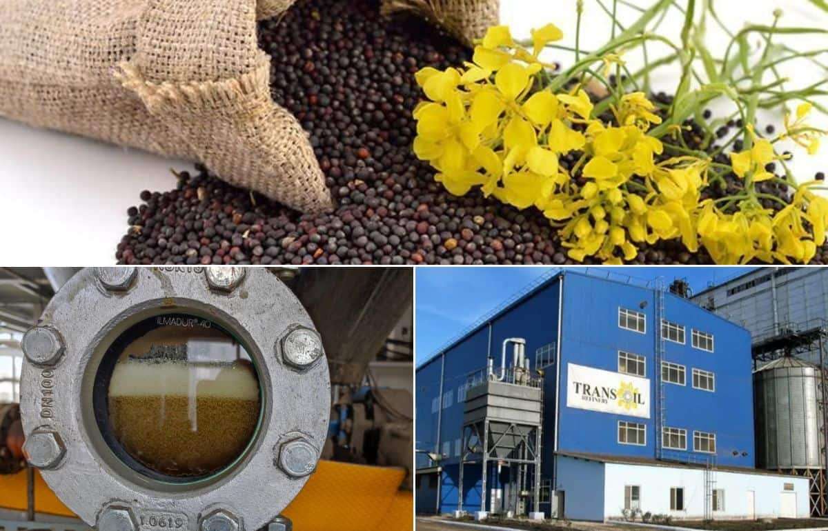 Первый блин не комом: успешный старт рапсового комплекса Trans-Oil - agroexpert.md