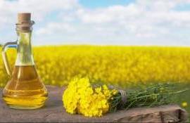 Украина вернула себе лидерство в поставках рапсового масла в ЕС - agroexpert.md