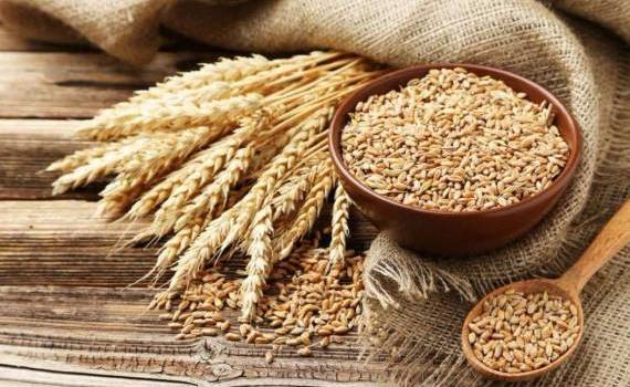 В портах Украины продолжает дорожать пшеница - agroexpert.md
