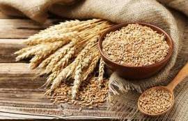 В портах Украины продолжает дорожать пшеница - agroexpert.md
