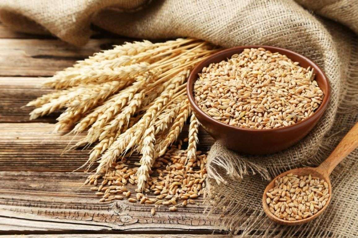 В портах Украины продолжает дорожать пшеница - agroexpert.md