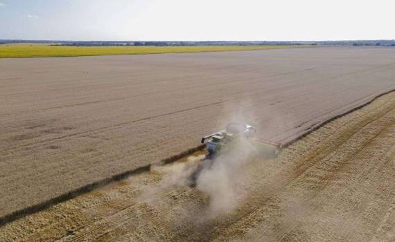 Рынок зерновых в Украине: последствия дождей и роль мировых котировок - agroexpert.md