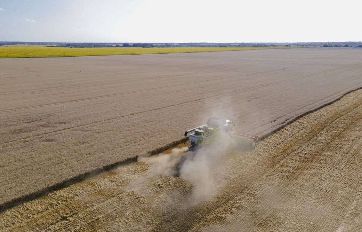 Рынок зерновых в Украине: последствия дождей и роль мировых котировок - agroexpert.md
