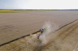 Рынок зерновых в Украине: последствия дождей и роль мировых котировок - agroexpert.md