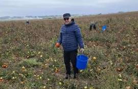Трагедия польских фермеров: их урожай пропадает на полях - agroexpert.md