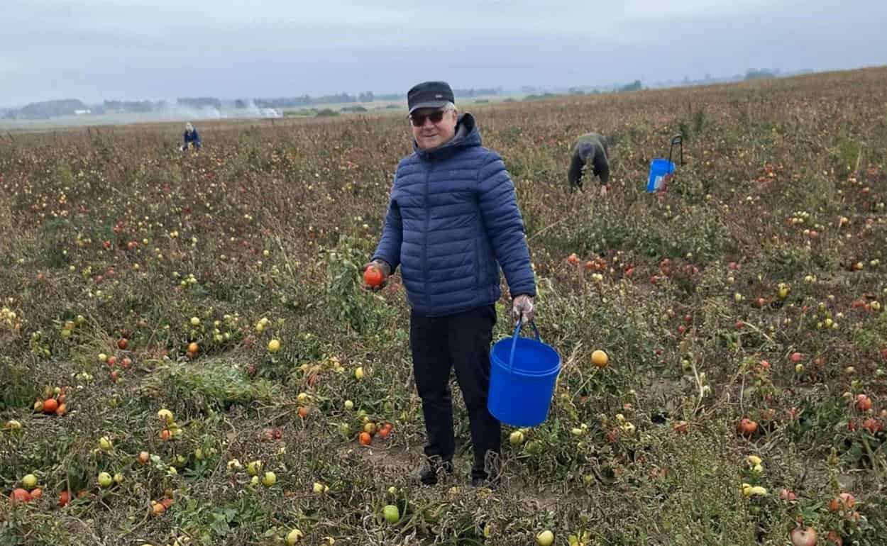 Трагедия польских фермеров: их урожай пропадает на полях - agroexpert.md