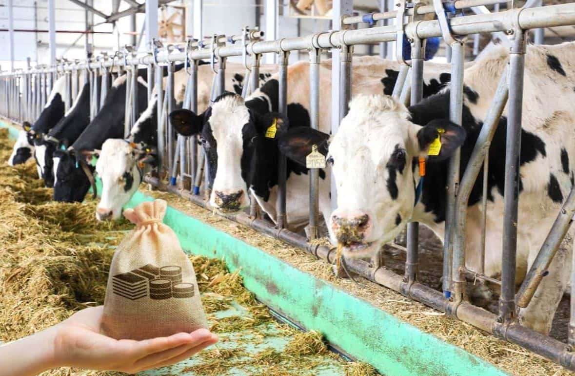 Фермеры могут подать заявки на гранты для модернизации ферм - agroexpert.md