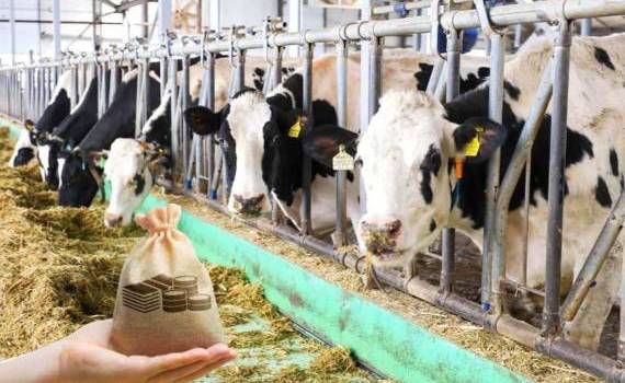 Фермеры могут подать заявки на гранты для модернизации ферм - agroexpert.md