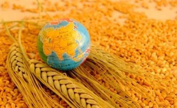 Мировой рынок: вторник — соя подорожала, пшеница и кукуруза подешевели - agroexpert.md