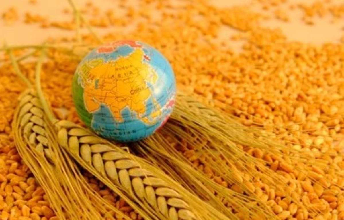 Мировой рынок: вторник — соя подорожала, пшеница и кукуруза подешевели - agroexpert.md