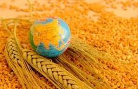 Мировой рынок: вторник — соя подорожала, пшеница и кукуруза подешевели - agroexpert.md