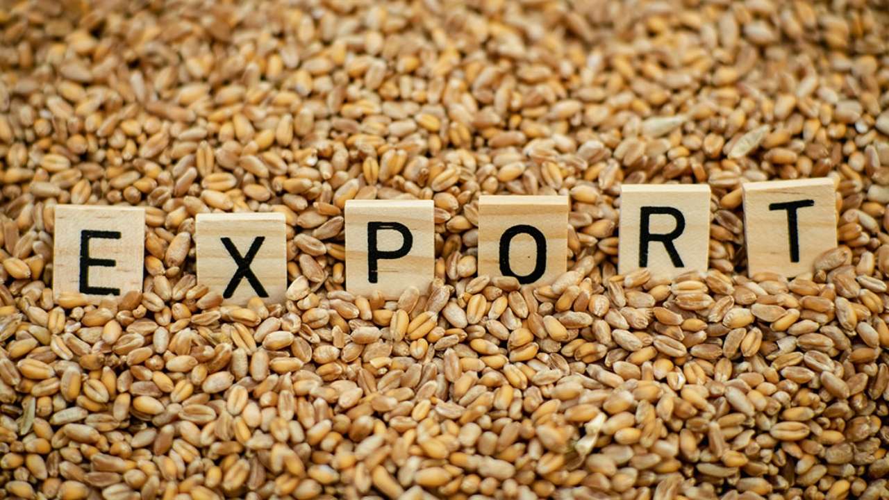 export de grâu 2025