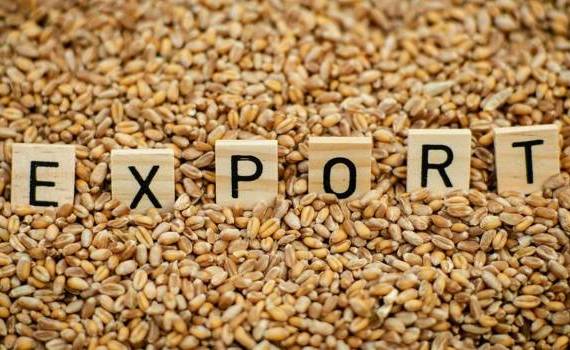 export de grâu 2025
