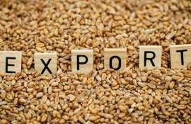 export de grâu 2025