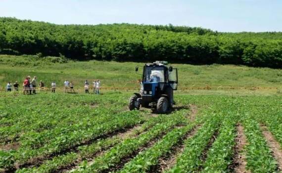 2000 малообеспеченных фермеров Молдовы получат гранты - agroexpert.md