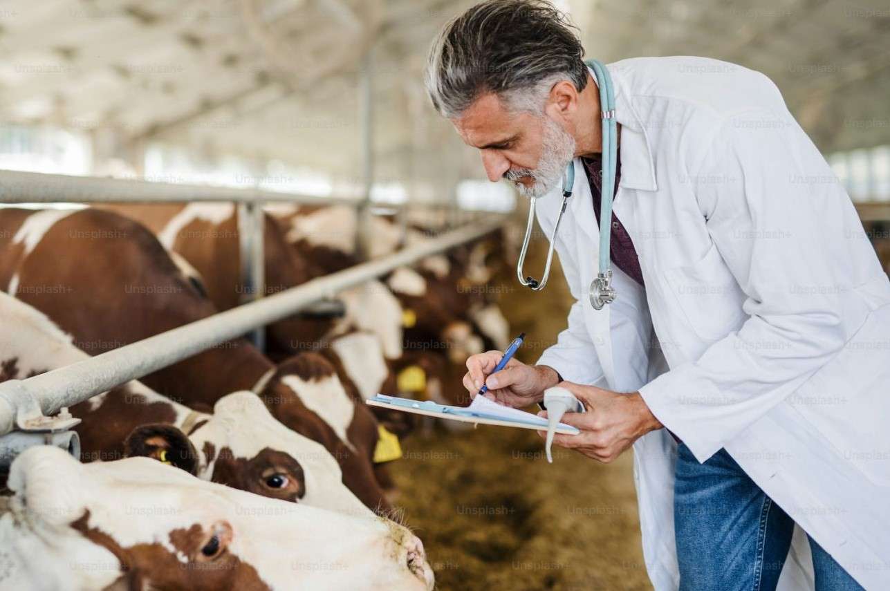 facilitati in ferme