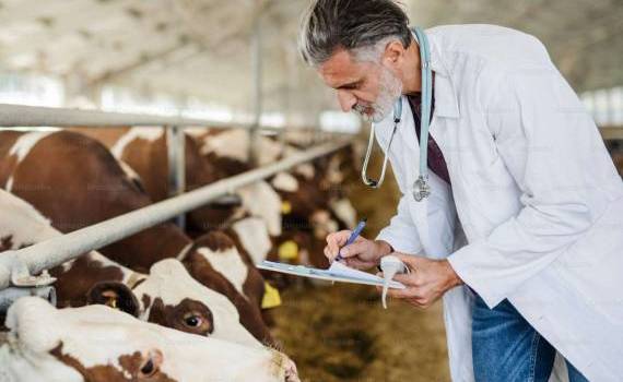 facilitati in ferme
