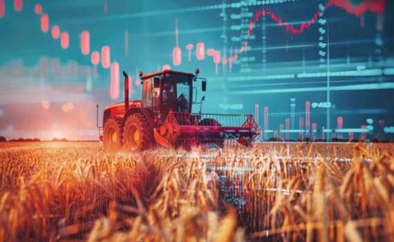 Мировой рынок: пшеница закрылась разнонаправленно, кукуруза подешевела - agroexpert.md
