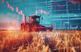 Мировой рынок: пшеница закрылась разнонаправленно, кукуруза подешевела - agroexpert.md
