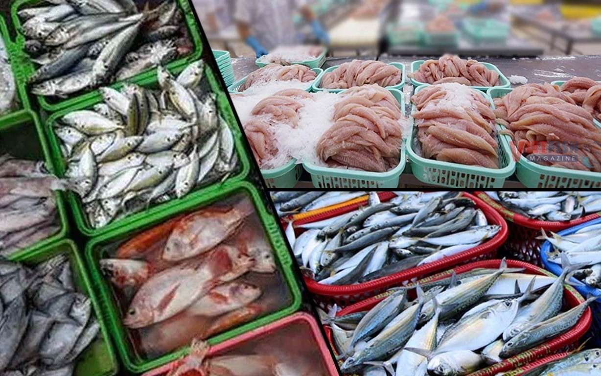 produse de pește de import