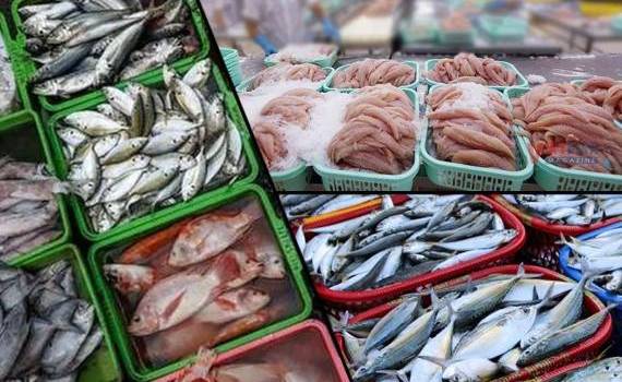 produse de pește de import