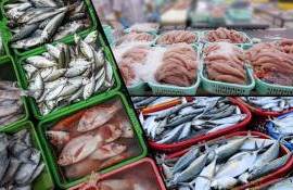 produse de pește de import