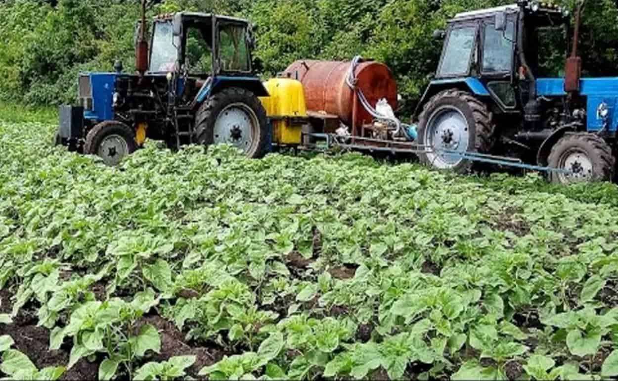 Еврокомиссия обвиняет Румынию в нарушении регламента по защите растений - agroexpert.md