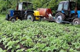 Еврокомиссия обвиняет Румынию в нарушении регламента по защите растений - agroexpert.md