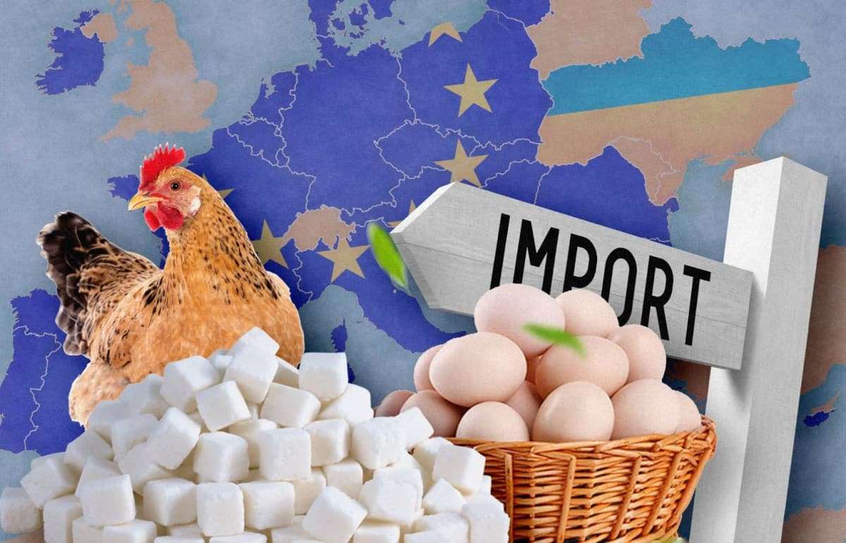 Для Украины квоты на экспорт меда и яиц в ЕС выросли в несколько раз - agroexpert.md