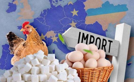 Для Украины квоты на экспорт меда и яиц в ЕС выросли в несколько раз - agroexpert.md