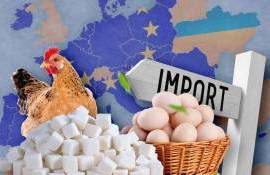 Для Украины квоты на экспорт меда и яиц в ЕС выросли в несколько раз - agroexpert.md