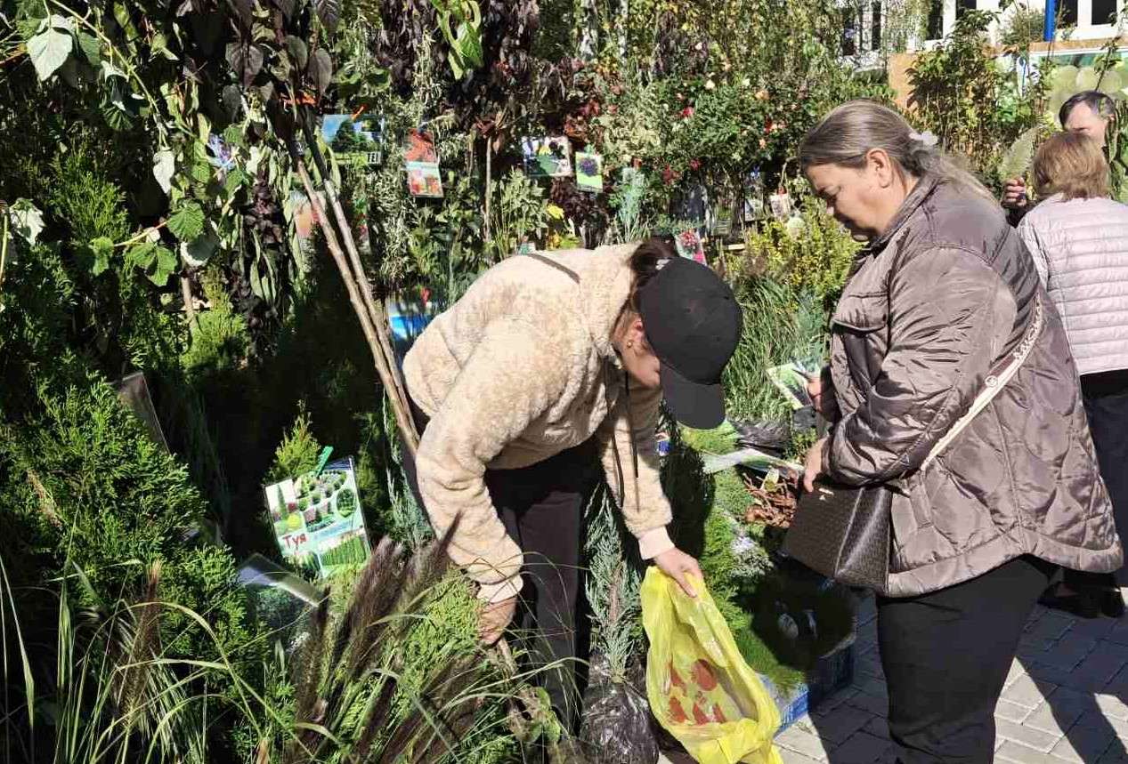 material saditor la Farmer