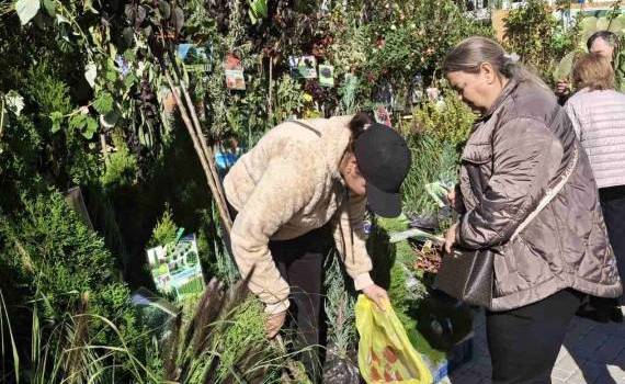 material saditor la Farmer