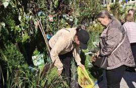 material saditor la Farmer