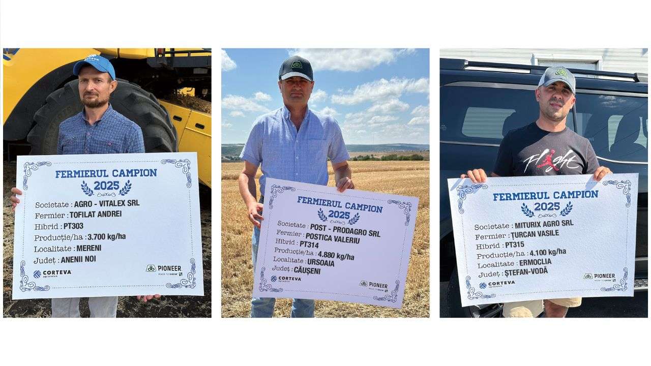 Agroexpert: Fermierii care au ales hibrizii de rapiță Pioneer au înregistrat rezultate mulțumitoare - agroexpert.md