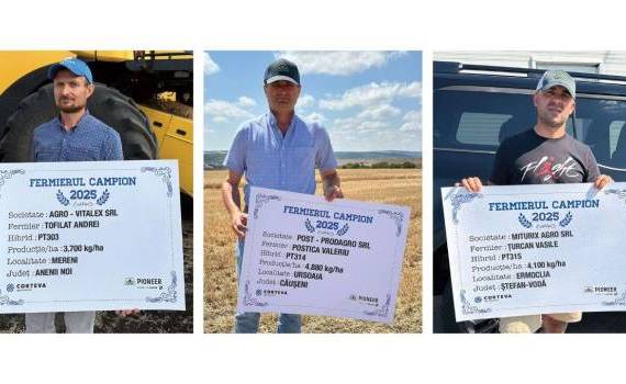 Agroexpert: Fermierii care au ales hibrizii de rapiță Pioneer au înregistrat rezultate mulțumitoare - agroexpert.md