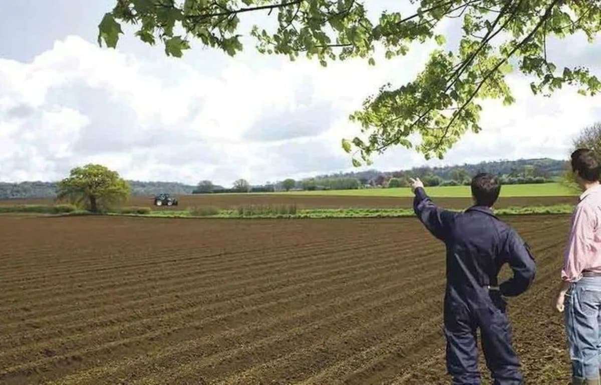 Евросоюз планирует удвоить поддержку молодых фермеров - agroexpert.md
