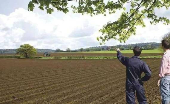 Евросоюз планирует удвоить поддержку молодых фермеров - agroexpert.md