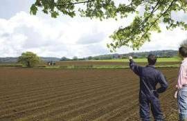 Евросоюз планирует удвоить поддержку молодых фермеров - agroexpert.md