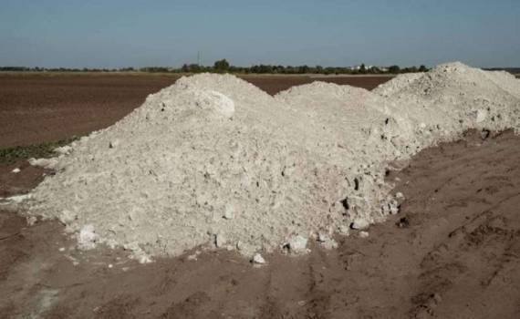 Когда стоит проводить известкование по рапсу если этого требует pH почвы - agroexpert.md