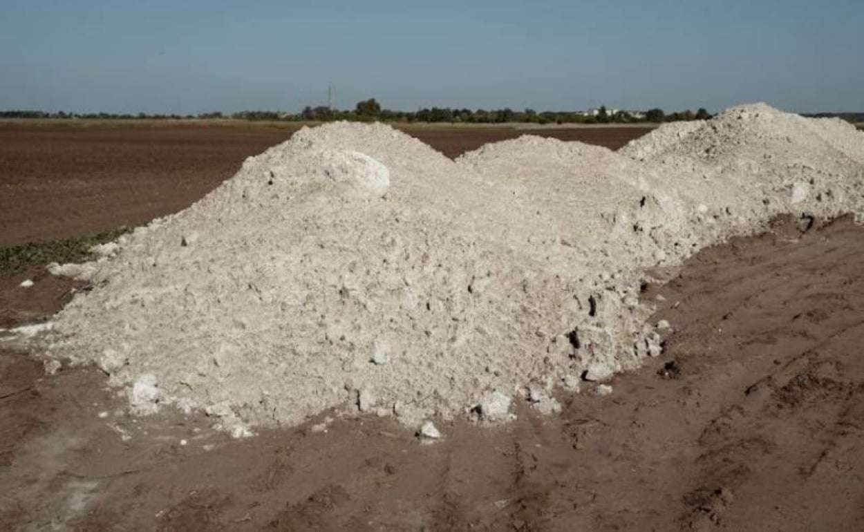 Когда стоит проводить известкование по рапсу если этого требует pH почвы - agroexpert.md