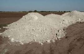 Когда стоит проводить известкование по рапсу если этого требует pH почвы - agroexpert.md