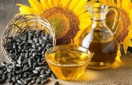 В Болгарии маслозаводы простаивают из-за нехватки подсолнечника - agroexpert.md