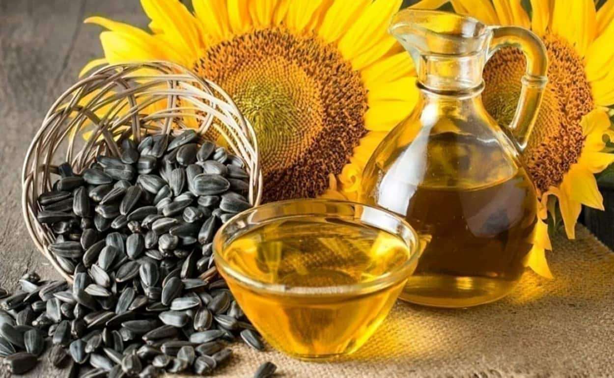 В Болгарии маслозаводы простаивают из-за нехватки подсолнечника - agroexpert.md