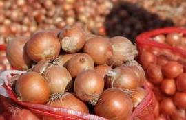 Украина обходит Молдову на румынском рынке лука благодаря низким ценам - agroexpert.md