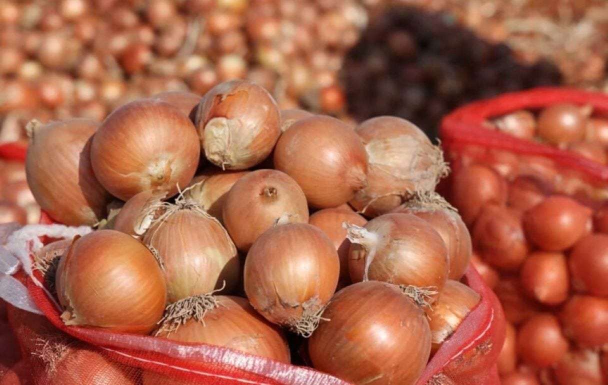 Украина обходит Молдову на румынском рынке лука благодаря низким ценам - agroexpert.md