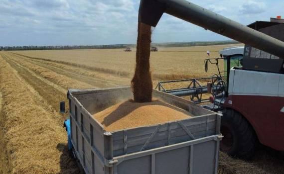 В текущем сезоне урожай зерна в РФ достиг 135 млн тонн - agroexpert.md